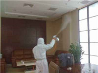 甲醛污染荼毒國民健康，室內空氣治理行業迎來