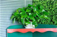 甲醛超標如何檢測？因甲醛超標引起白血病