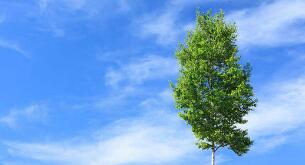 空氣質(zhì)量好壞的判斷標(biāo)準(zhǔn)是什么