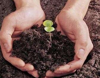 土壤檢測項目和土壤檢測標準