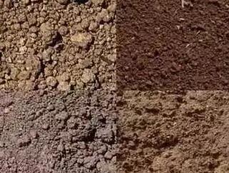 土壤檢測之氡的危害性