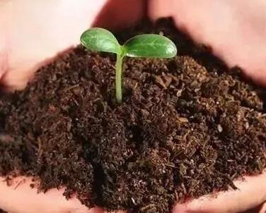 環境中的土壤污染檢測手段分析