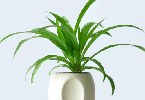 中山甲醛檢測(cè)公司怎么打造安全無污染的健康空氣環(huán)境