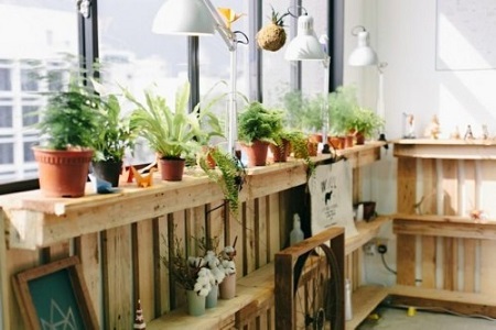 余姚除甲醛怎么收費