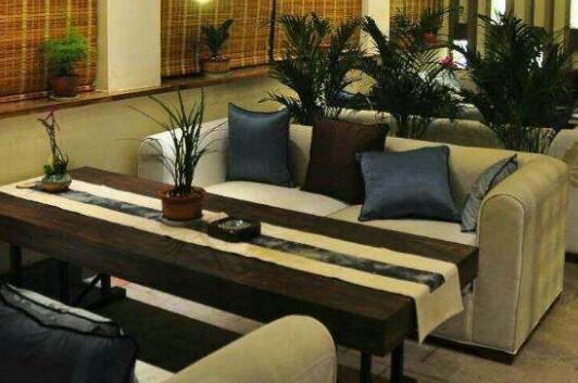 麗水裝修后怎樣快速除甲醛