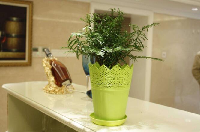 網上流傳的那些不靠譜除甲醛方法