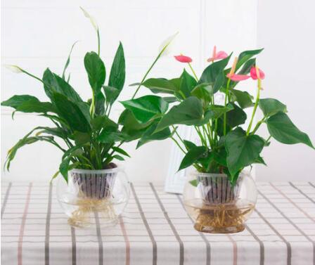 別再用這些方法除甲醛了