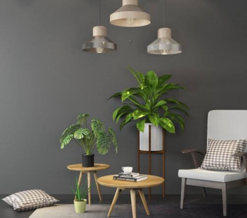 室內甲醛污染有哪些好的緩解方式?