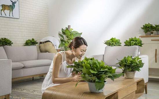 室內甲醛中毒怎么辦？記住這三招