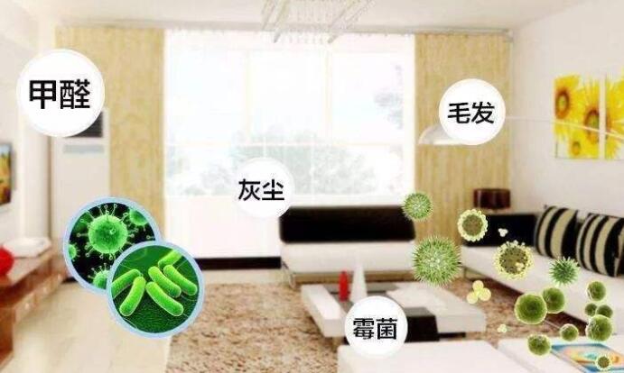 室內除甲醛：白醋洋蔥除甲醛，用完了炒來吃？