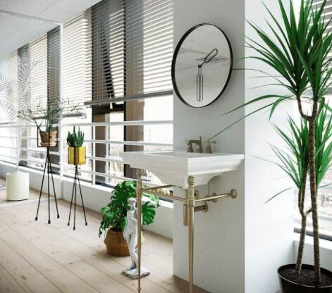 深圳辦公室裝修甲醛檢測治理，綠植除甲醛靠不靠得住