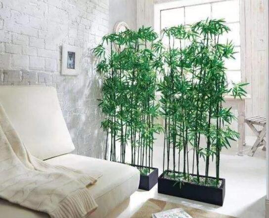 金華除甲醛公司分享民間除甲醛的辦法